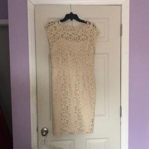 Size 10 Adrianna Papell dress